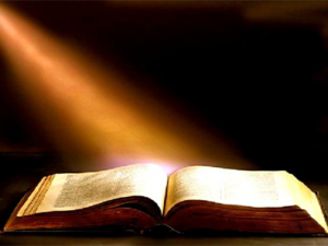 Beautiful spring meadow with daisies and butterflies in sunlight, banner background. Nature landscape with white flowers on green grass field. Spring concept, banner